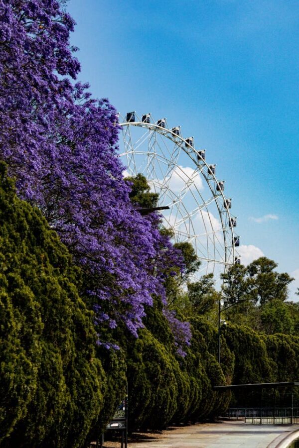 imagem de orizonte florido para ilustrar pagina quem somos.